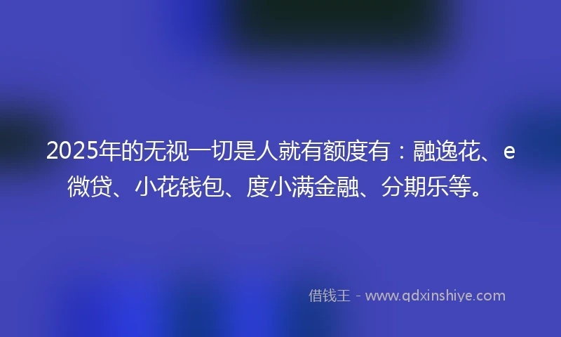 2025年的无视一切是人就有额度有：融逸花、e微贷、小花钱包、度小满金融、分期乐等。