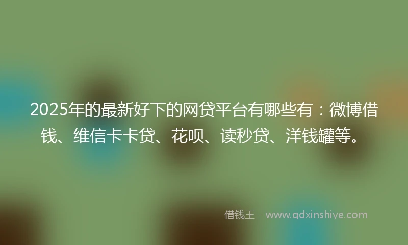 2025年的最新好下的网贷平台有哪些有：微博借钱、维信卡卡贷、花呗、读秒贷、洋钱罐等。