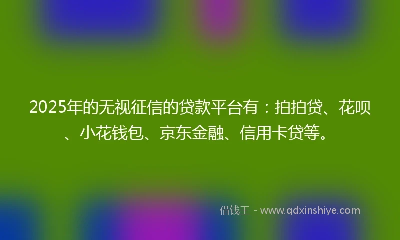 2025年的无视征信的贷款平台有：拍拍贷、花呗、小花钱包、京东金融、信用卡贷等。