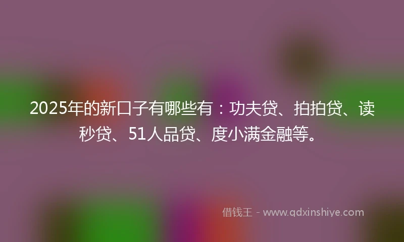 2025年的新口子有哪些有：功夫贷、拍拍贷、读秒贷、51人品贷、度小满金融等。