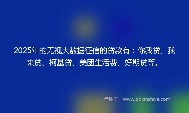 2025年的无视大数据征信的贷款有：你我贷、我来贷、柯基贷、美团生活费、好期贷等。