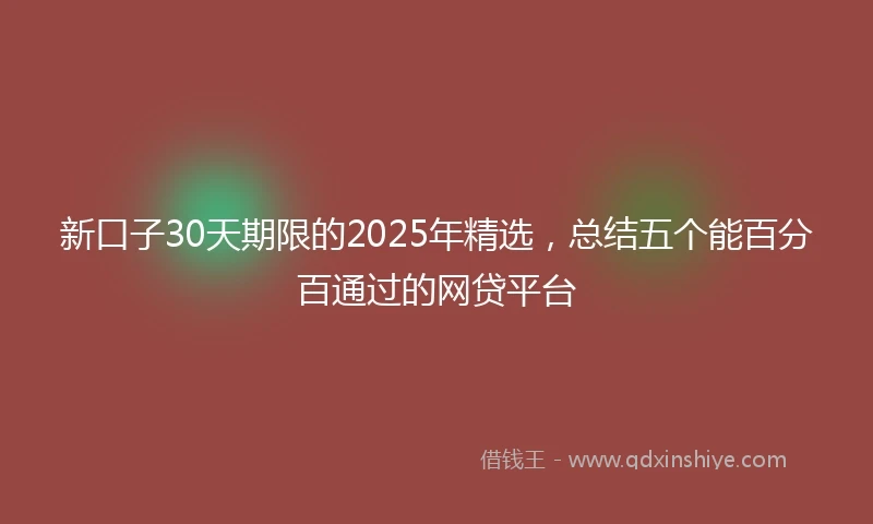 新口子30天期限的2025年精选，总结五个能百分百通过的网贷平台
