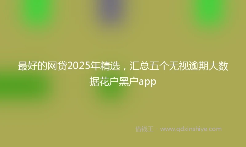 最好的网贷2025年精选，汇总五个无视逾期大数据花户黑户app