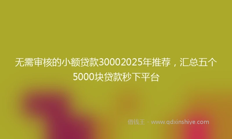无需审核的小额贷款30002025年推荐，汇总五个5000块贷款秒下平台