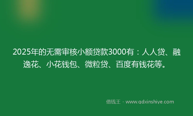 2025年的无需审核小额贷款3000有：人人贷、融逸花、小花钱包、微粒贷、百度有钱花等。