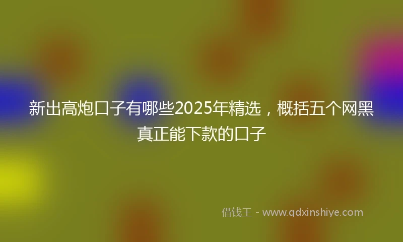 新出高炮口子有哪些2025年精选，概括五个网黑真正能下款的口子