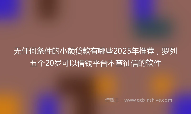 无任何条件的小额贷款有哪些2025年推荐，罗列五个20岁可以借钱平台不查征信的软件