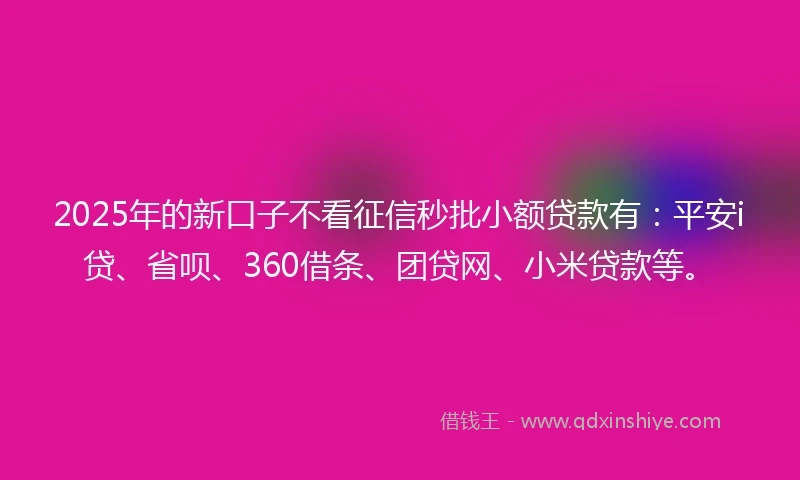 2025年的新口子不看征信秒批小额贷款有：平安i贷、省呗、360借条、团贷网、小米贷款等。
