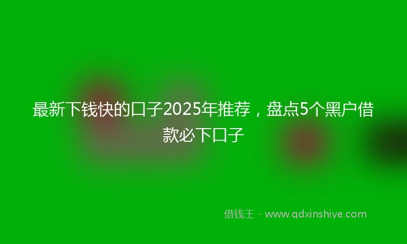 最新下钱快的口子2025年推荐，盘点5个黑户借款必下口子