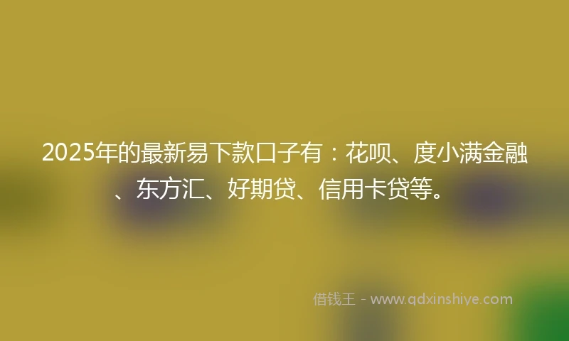2025年的最新易下款口子有：花呗、度小满金融、东方汇、好期贷、信用卡贷等。