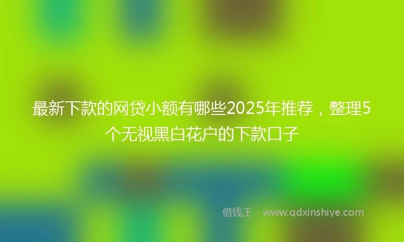 最新下款的网贷小额有哪些2025年推荐，整理5个无视黑白花户的下款口子