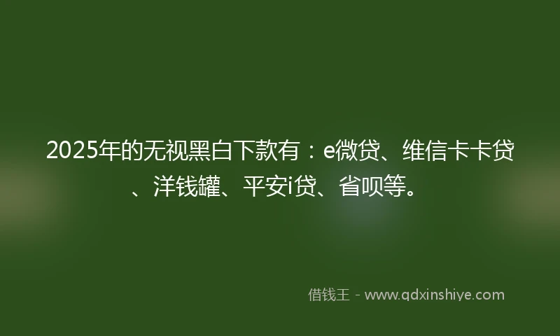 2025年的无视黑白下款有：e微贷、维信卡卡贷、洋钱罐、平安i贷、省呗等。