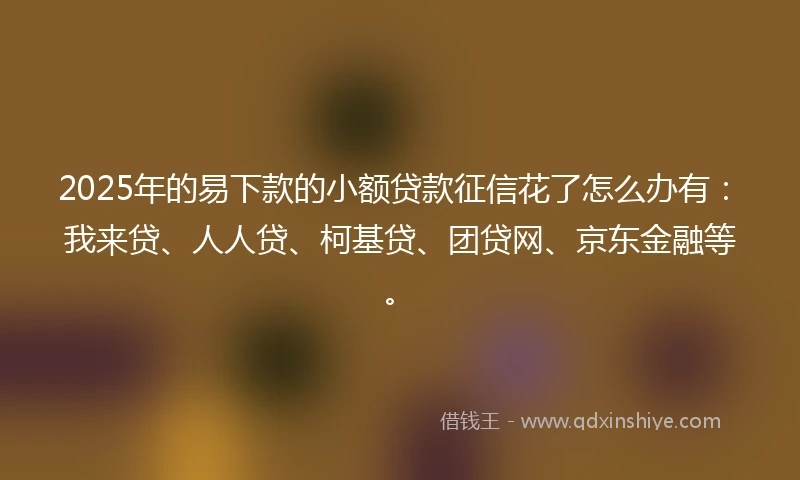 2025年的易下款的小额贷款征信花了怎么办有：我来贷、人人贷、柯基贷、团贷网、京东金融等。