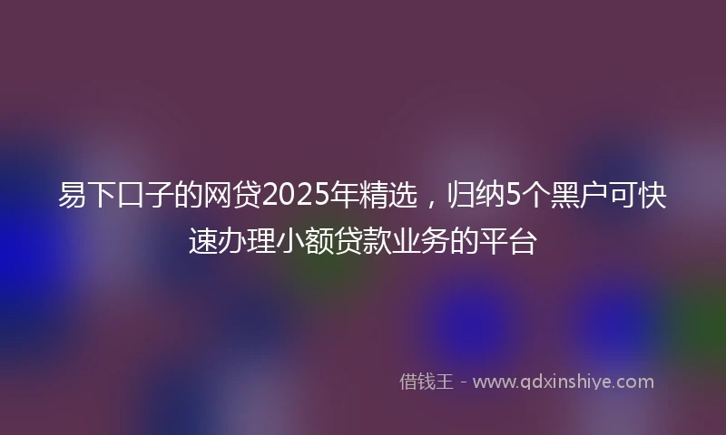 易下口子的网贷2025年精选，归纳5个黑户可快速办理小额贷款业务的平台