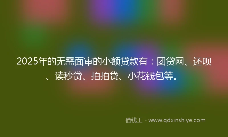 2025年的无需面审的小额贷款有：团贷网、还呗、读秒贷、拍拍贷、小花钱包等。