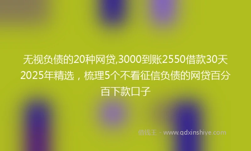 无视负债的20种网贷,3000到账2550借款30天2025年精选，梳理5个不看征信负债的网贷百分百下款口子