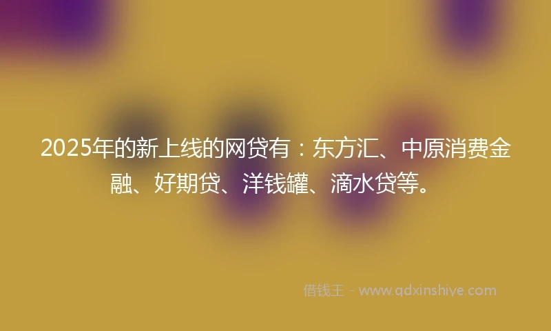 2025年的新上线的网贷有：东方汇、中原消费金融、好期贷、洋钱罐、滴水贷等。