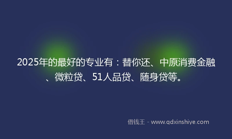 2025年的最好的专业有：替你还、中原消费金融、微粒贷、51人品贷、随身贷等。