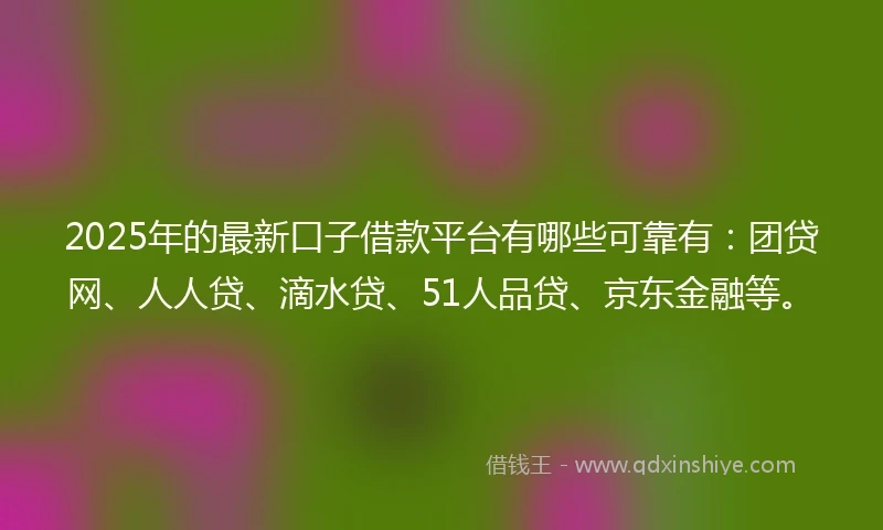 2025年的最新口子借款平台有哪些可靠有：团贷网、人人贷、滴水贷、51人品贷、京东金融等。