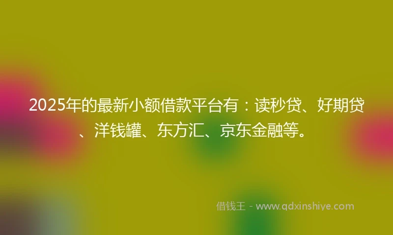 2025年的最新小额借款平台有：读秒贷、好期贷、洋钱罐、东方汇、京东金融等。
