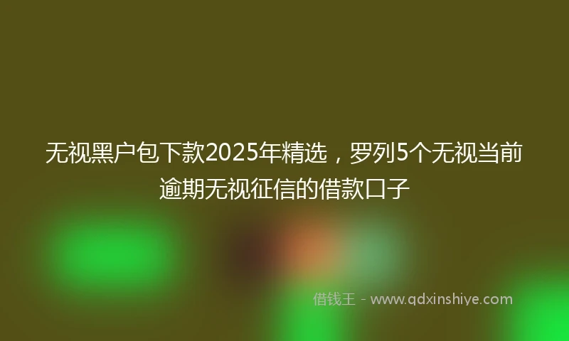 无视黑户包下款2025年精选，罗列5个无视当前逾期无视征信的借款口子