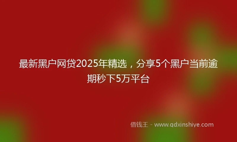 最新黑户网贷2025年精选，分享5个黑户当前逾期秒下5万平台