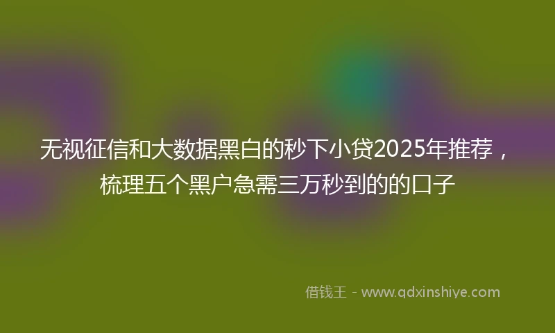 无视征信和大数据黑白的秒下小贷2025年推荐，梳理五个黑户急需三万秒到的的口子