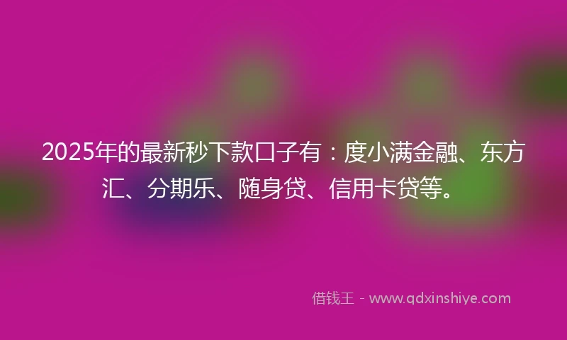 2025年的最新秒下款口子有：度小满金融、东方汇、分期乐、随身贷、信用卡贷等。