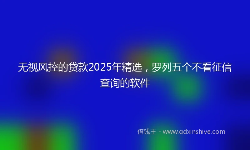 无视风控的贷款2025年精选，罗列五个不看征信查询的软件