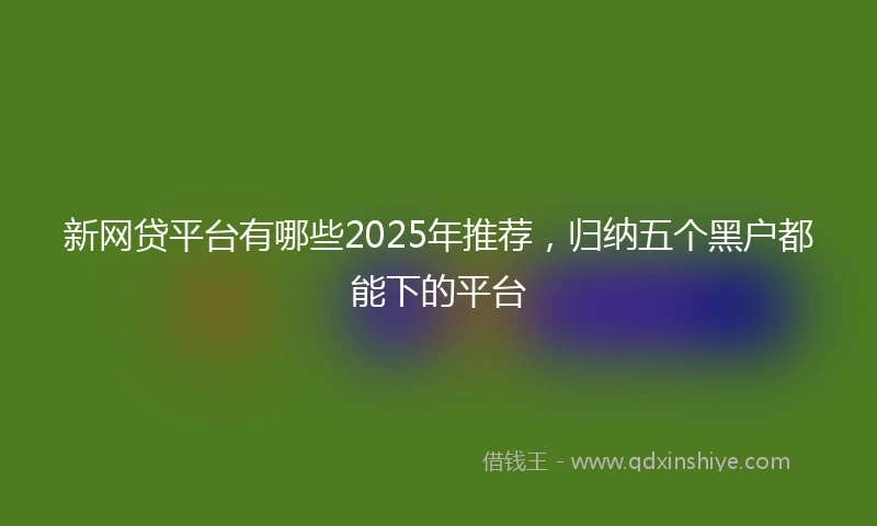 新网贷平台有哪些2025年推荐，归纳五个黑户都能下的平台
