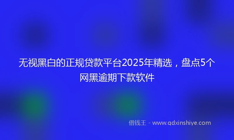无视黑白的正规贷款平台2025年精选，盘点5个网黑逾期下款软件