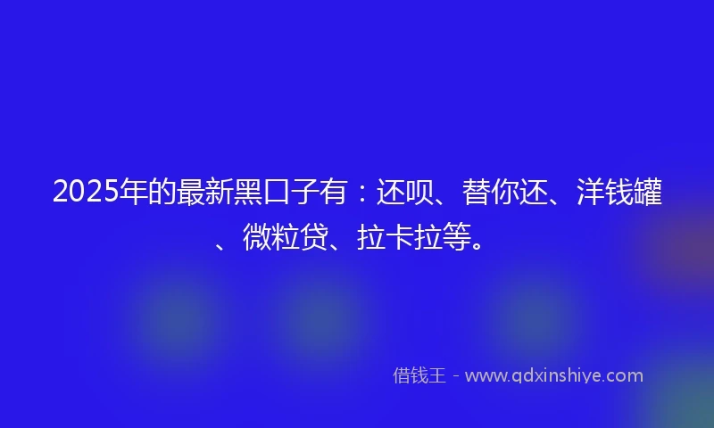 2025年的最新黑口子有:还呗、替你还、洋钱罐、微粒贷、拉卡拉等。