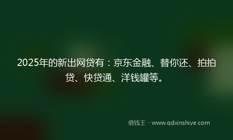 2025年的新出网贷有：京东金融、替你还、拍拍贷、快贷通、洋钱罐等。