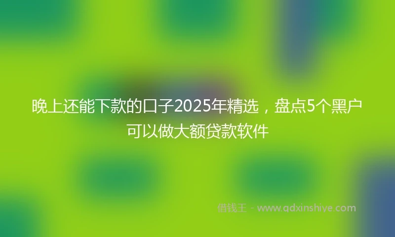 晚上还能下款的口子2025年精选，盘点5个黑户可以做大额贷款软件