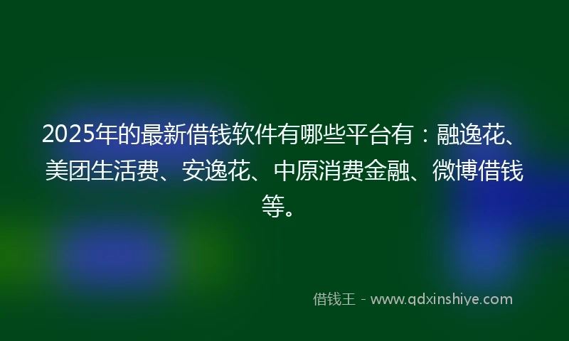2025年的最新借钱软件有哪些平台有：融逸花、美团生活费、安逸花、中原消费金融、微博借钱等。