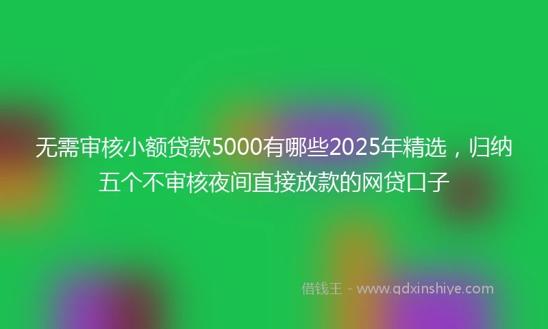 无需审核小额贷款5000有哪些2025年精选,归纳五个不审核夜间直接放款的网贷口子