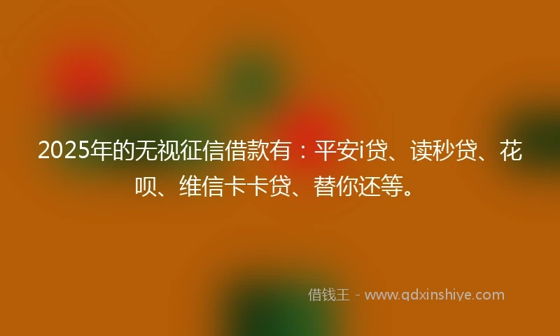 2025年的无视征信借款有：平安i贷、读秒贷、花呗、维信卡卡贷、替你还等。