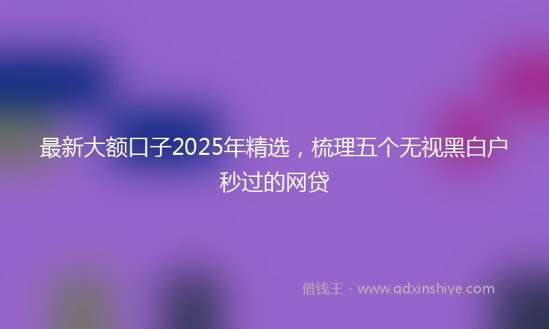 最新大额口子2025年精选,梳理五个无视黑白户秒过的网贷
