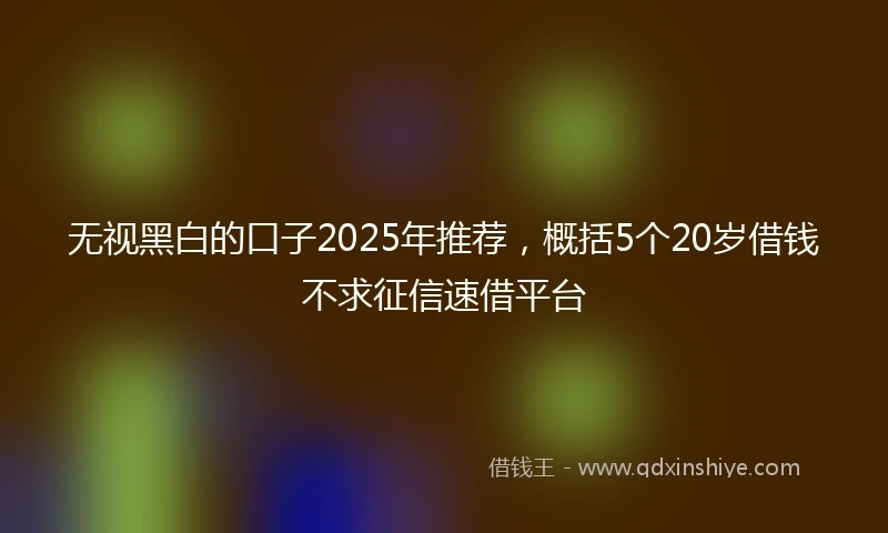 无视黑白的口子2025年推荐，概括5个20岁借钱不求征信速借平台