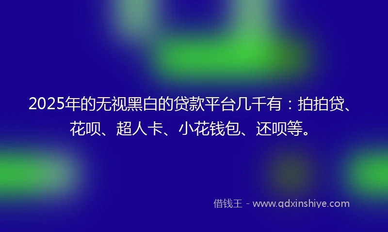 2025年的无视黑白的贷款平台几千有：拍拍贷、花呗、超人卡、小花钱包、还呗等。