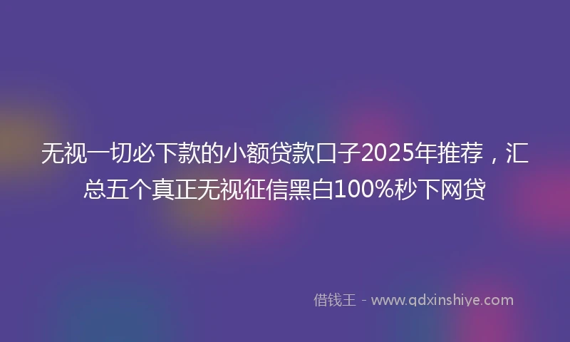 无视一切必下款的小额贷款口子2025年推荐，汇总五个真正无视征信黑白100%秒下网贷