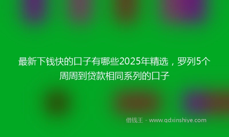 最新下钱快的口子有哪些2025年精选，罗列5个周周到贷款相同系列的口子