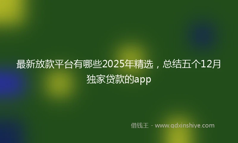 最新放款平台有哪些2025年精选,总结五个12月独家贷款的app