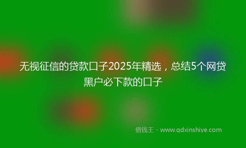 无视征信的贷款口子2025年精选，总结5个网贷黑户必下款的口子