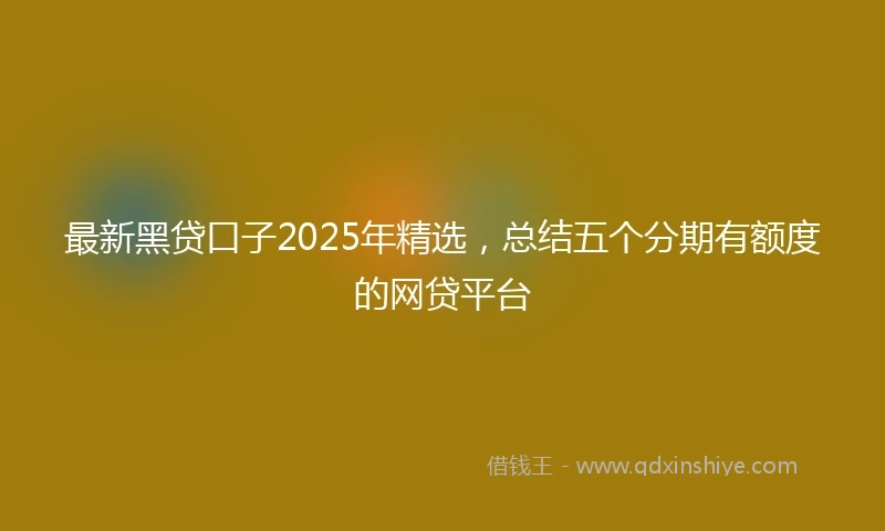 最新黑贷口子2025年精选，总结五个分期有额度的网贷平台