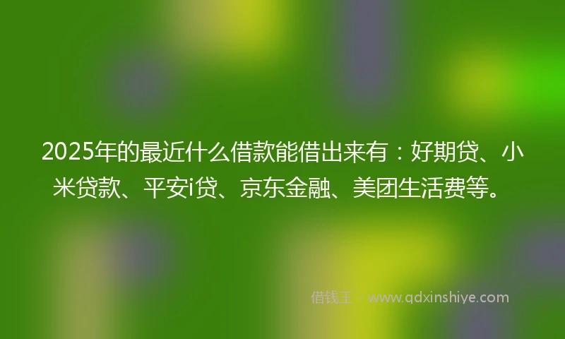 2025年的最近什么借款能借出来有：好期贷、小米贷款、平安i贷、京东金融、美团生活费等。