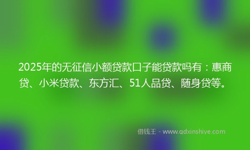 2025年的无征信小额贷款口子能贷款吗有：惠商贷、小米贷款、东方汇、51人品贷、随身贷等。