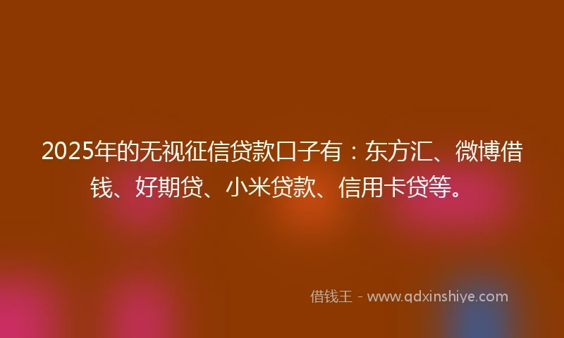 2025年的无视征信贷款口子有：东方汇、微博借钱、好期贷、小米贷款、信用卡贷等。