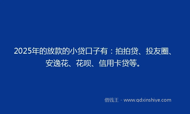 2025年的放款的小贷口子有：拍拍贷、投友圈、安逸花、花呗、信用卡贷等。