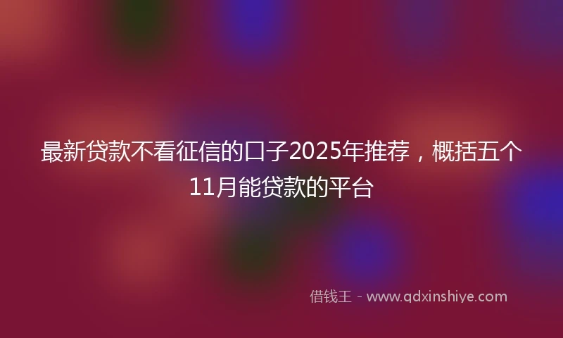 最新贷款不看征信的口子2025年推荐，概括五个11月能贷款的平台